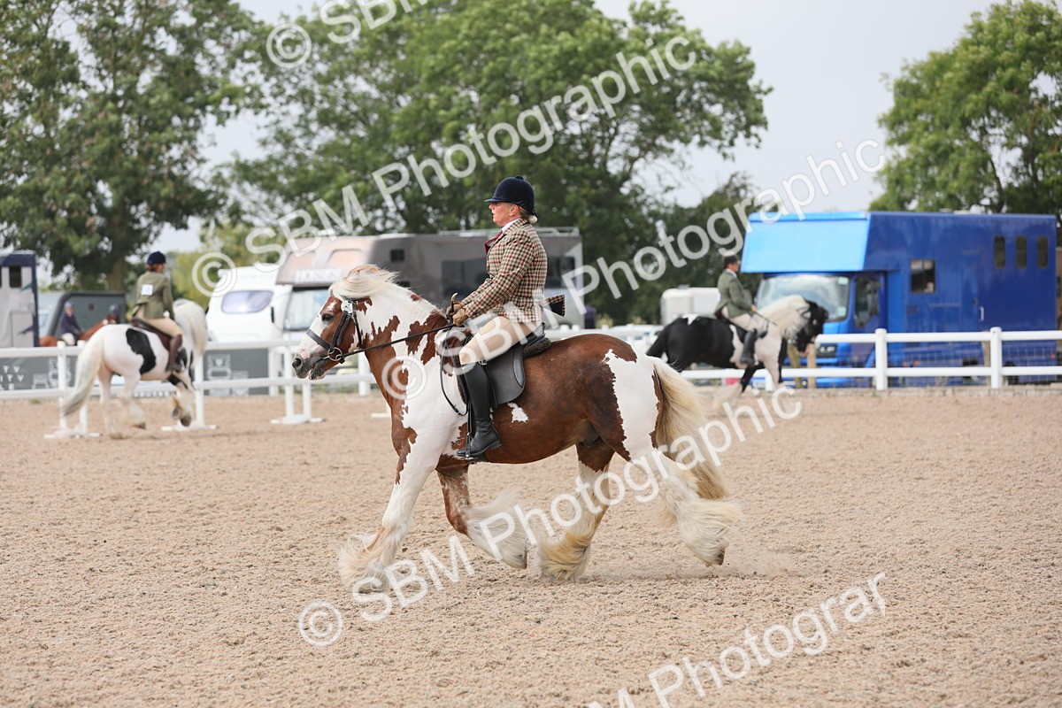 SBM_12693 - Class 307 Ridden Coloured Pony
