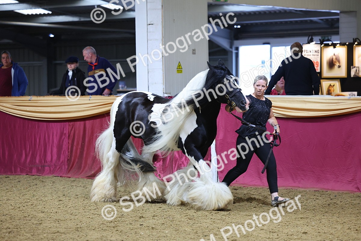 SBM_21028 - Class 902 - Supreme Final IH Veteran