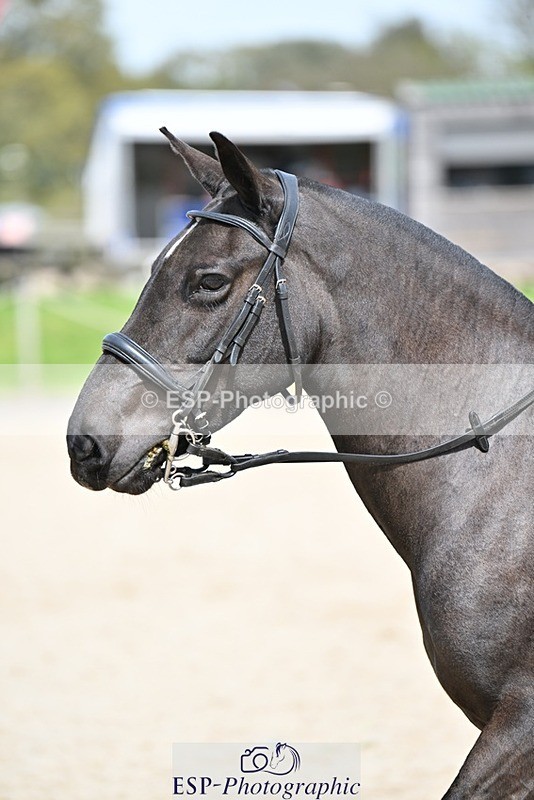 240413-124533-01054 - Cls 5+6 80cm Start to 1pm