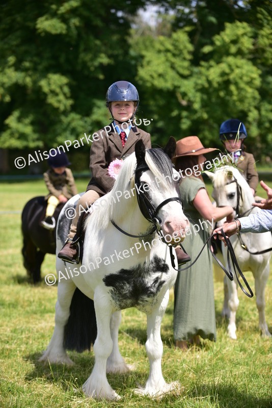 20260614-1304 - Class 11a - Lead Rein Pony (Unplaited)