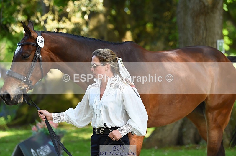 230524-164420-01061 - 132-OGUE_VERDI-Kitty_King-WEDTrotUp+DR