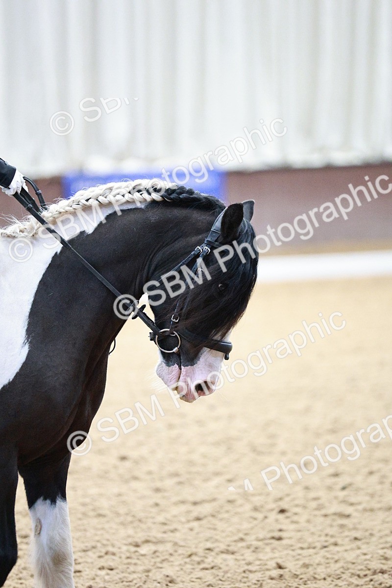 SBM_004118 - Class 13-19 - Novice FSM-INT 1 - 9.00-9.54