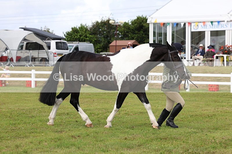 3E7A0405 - Class 6: Rising Star Maxi Cobs