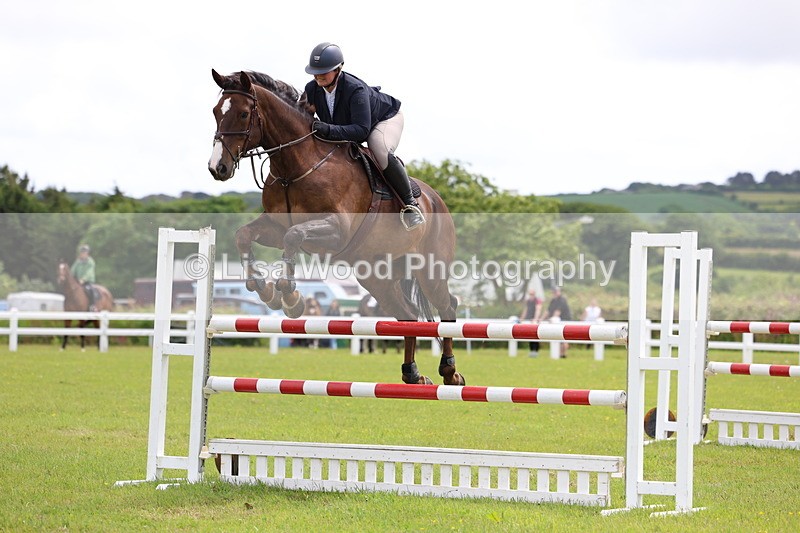 3E7A7080 - Class 12: Senior Foxhunter/1.20 open