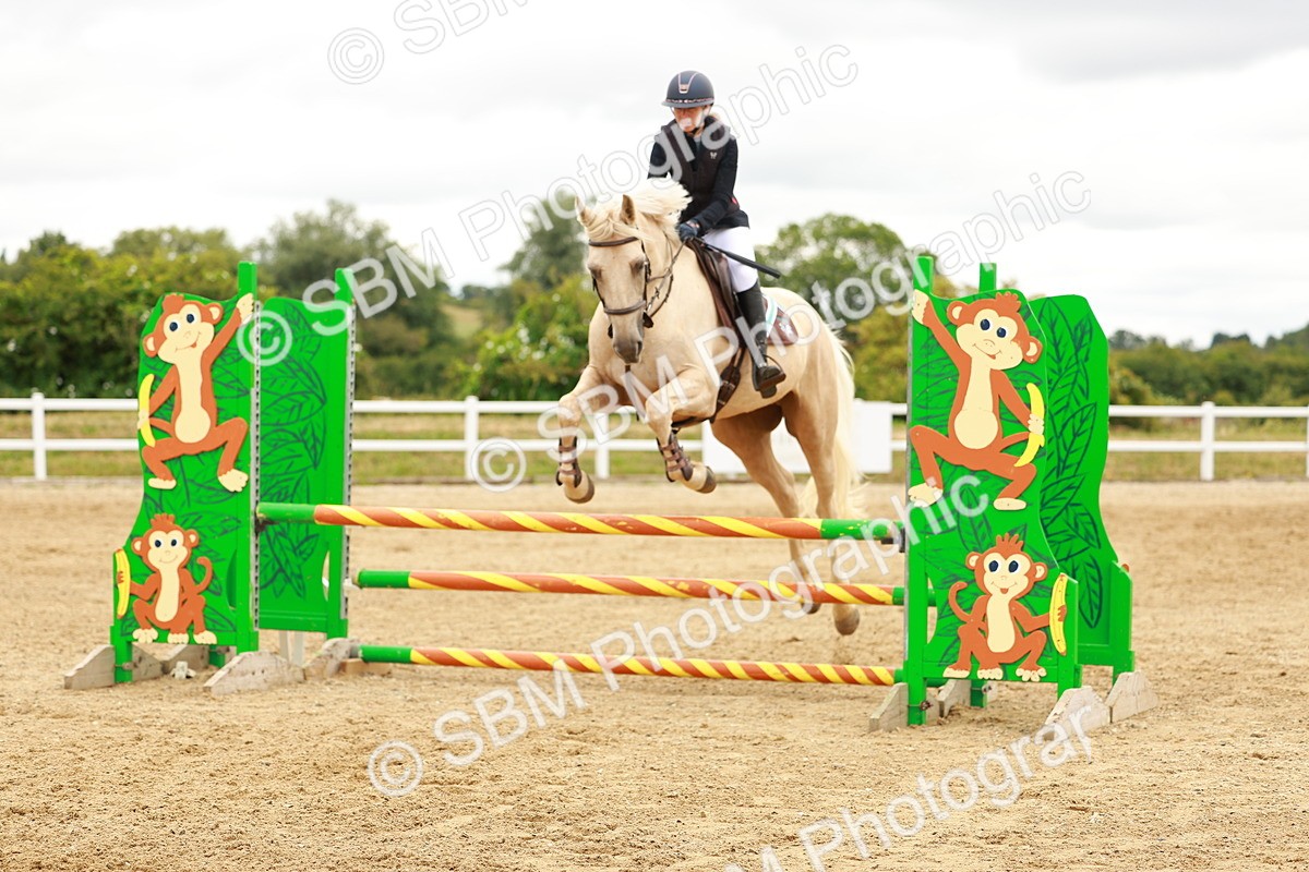 SBM_001904 - Class 9 - Senior British Novice - 90cm