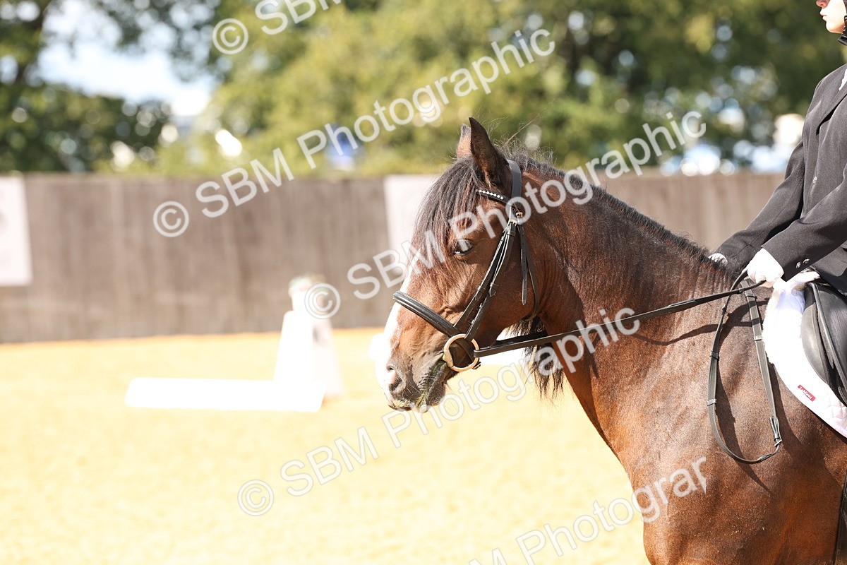 SBM_44200 - D6 - Small Tour Championship Intro 4