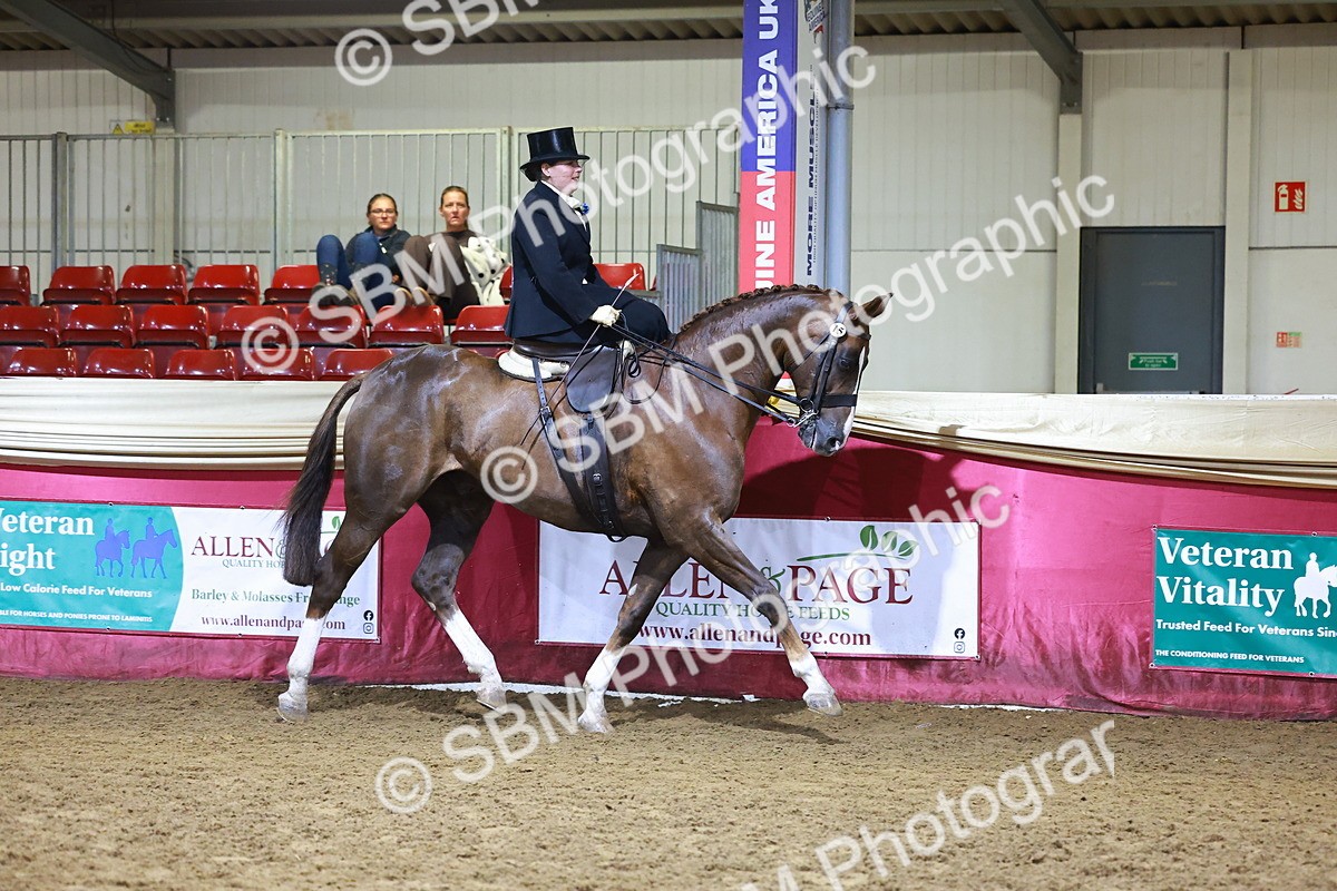 SBM_15386 - Class Q - Ridden Horse Champ