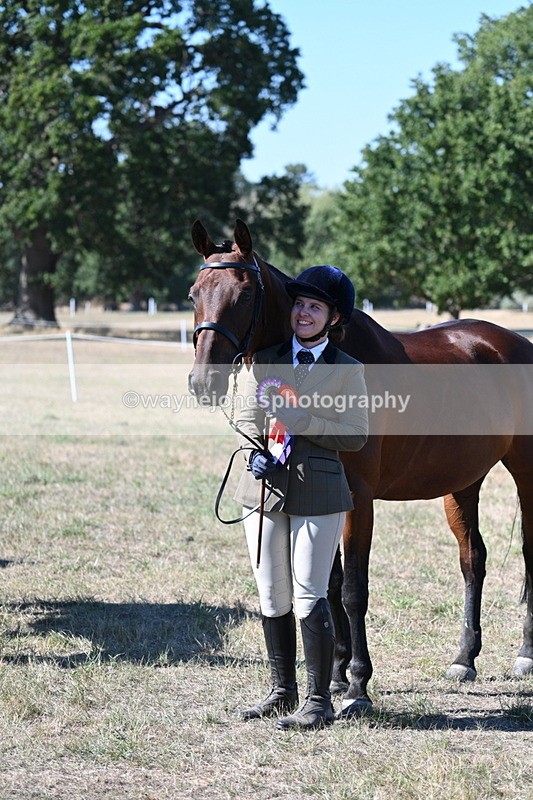 WJ7_1940 - Class 43 Best Six Legs (In hand)