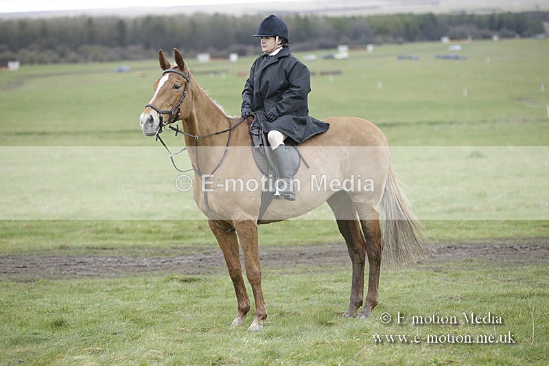 PtP 150320 0472 - New Forest Point-to-Point Larkhill 15/03/20