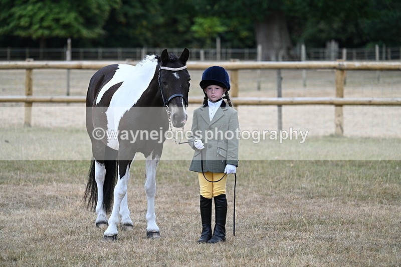 WJ7_9485 - Class 5 Most Handsome Gelding (up to 14.2hh)