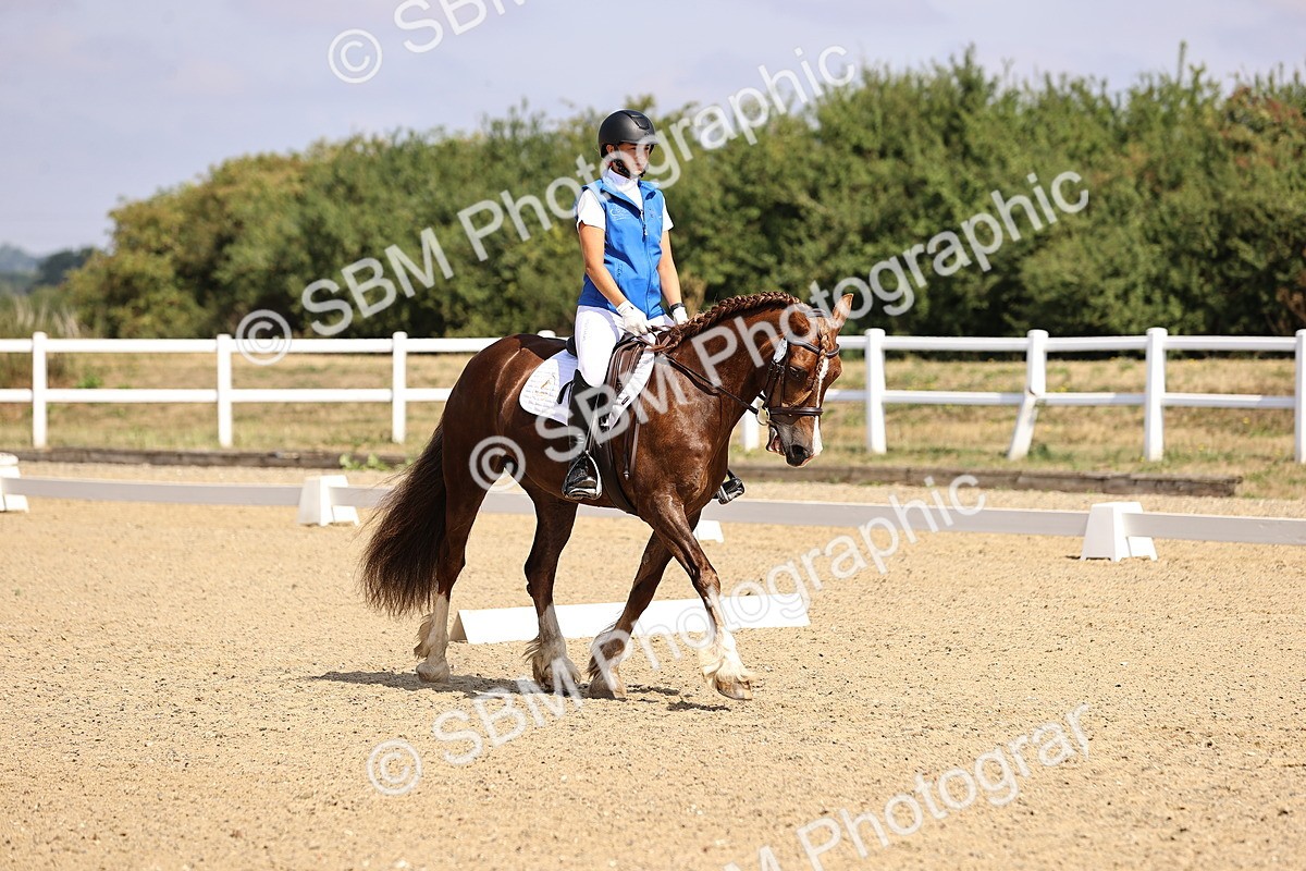 SBM_006529 - Intro 3 - 9.46-10.46