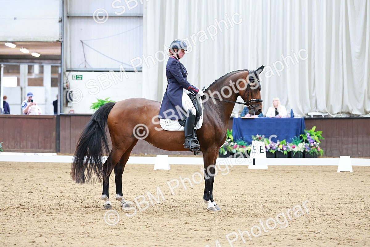 SBM_019081 - Class 12 - FEI PSG - 13.00-13.48