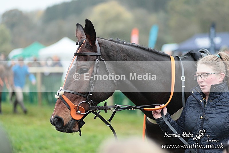 PtP 091124  173 - Knightwick Races Point-to-Point 09/11/24