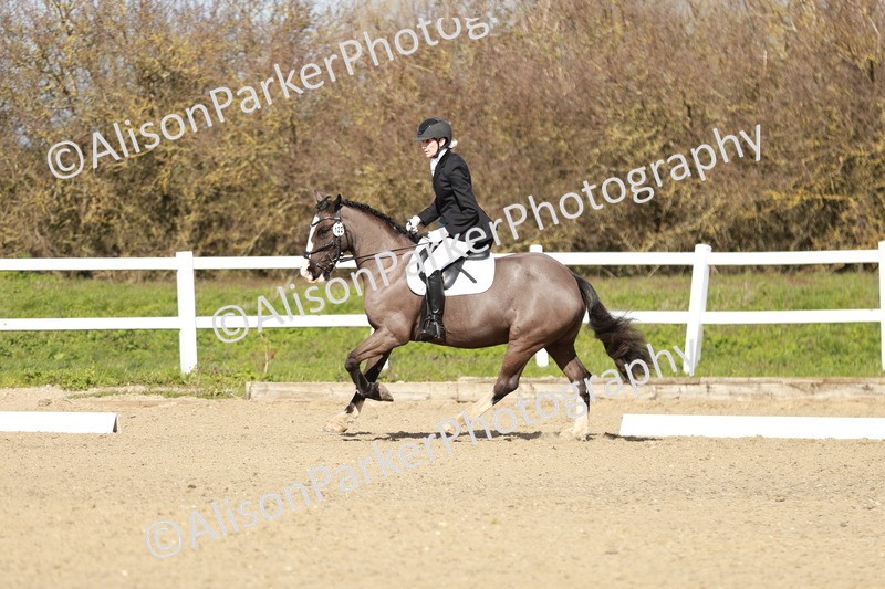 20260314-2953 - DR3 - Prelim 1