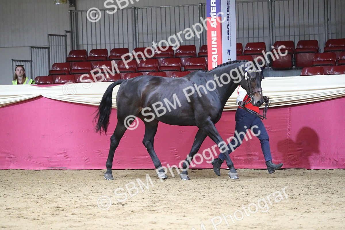 SBM_06346 - Class 9R Regional- IH Pre Vet