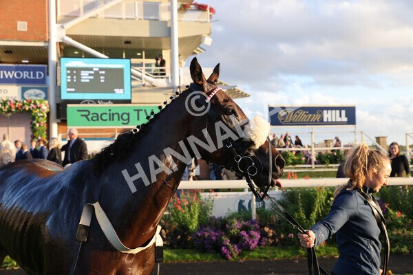 yr07102022r7-63 - Race 7 5.35pm IRE Incentive, It Pays To Buy Irish Stakes