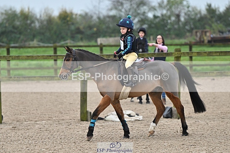 241110-094228-00057 - 40cm Showjumping