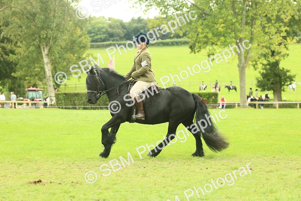 SBM_71927 - S60 - Mountain & Moorland Ridden Large Breeds