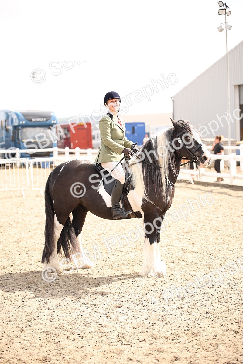 SBM_14343 - Class 407b - Working Veteran 60cm (20+)