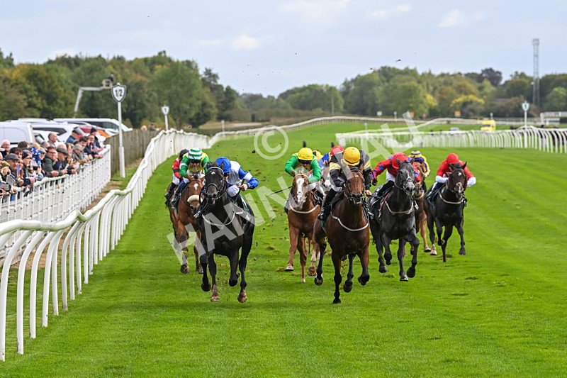021024-Race 2-Al Hussar-9150 - Race 2