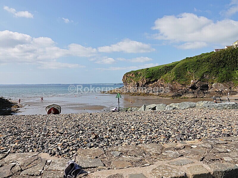 DSC00285 - Skomer 2019
