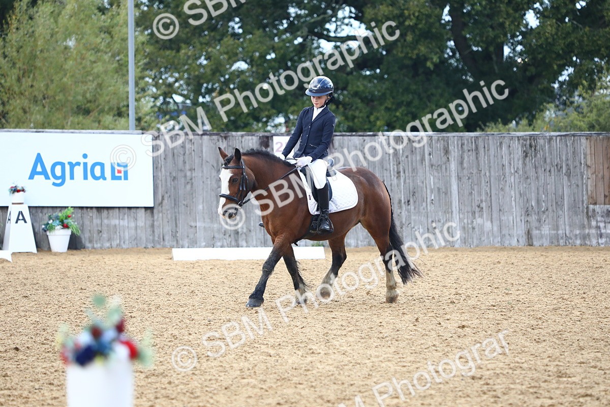 SBM_39040 - D21 - Junior Championship Intro 1