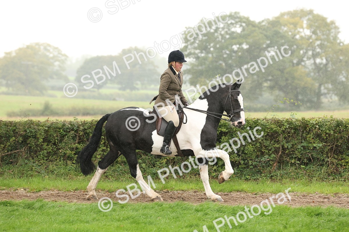 SBM_69801 - S69 - Show Cob Ridden