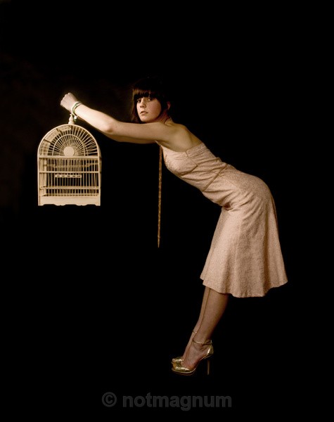 Watch the Birdie - STUDIO