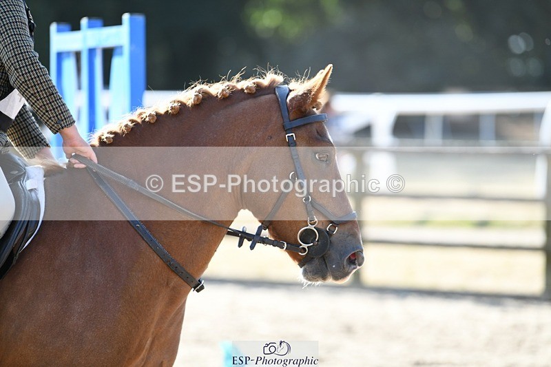 250822A-094944-19761 - NAF Round 1 9.10 to 10.20