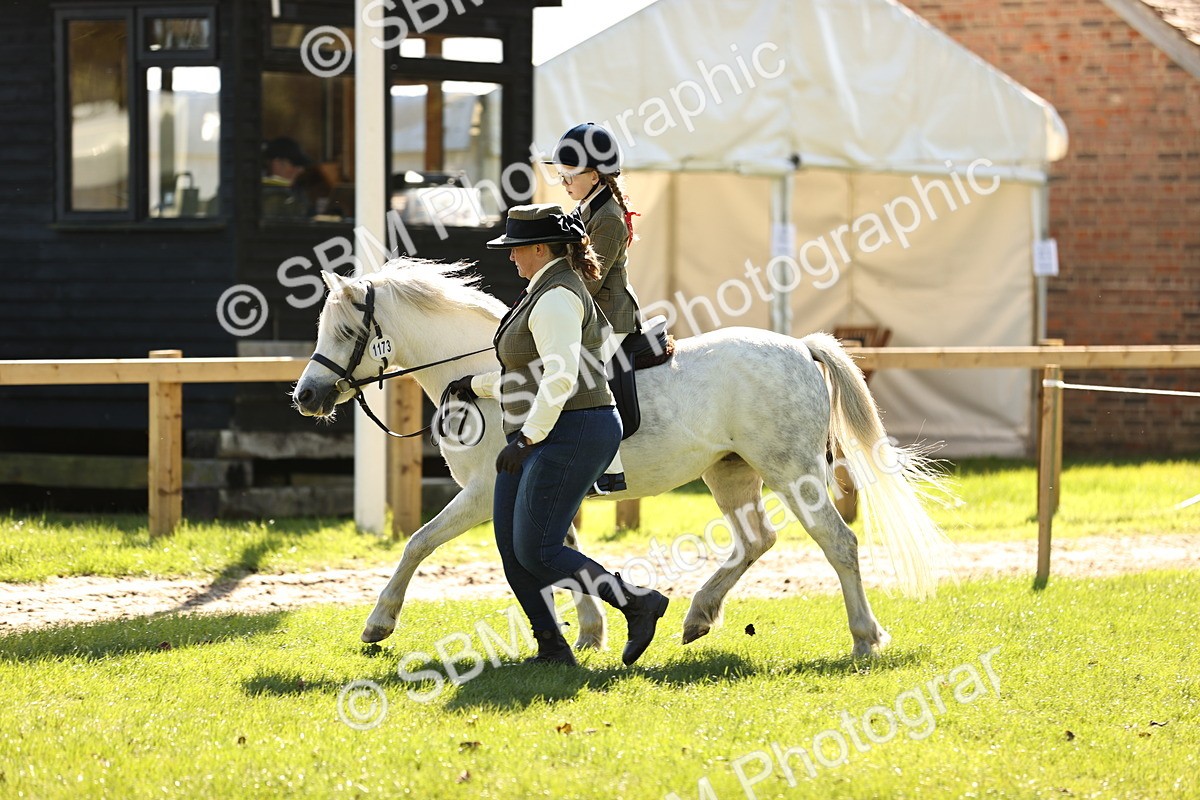 SBM_19306 - S3 - TSR Ridden Pony Showing