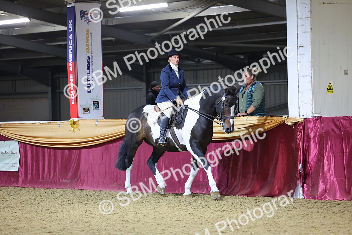 0B8A4455 - Class O Ridden Show Horse Champ