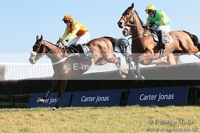 PtP 230219 303 - Vine & Craven Point-To-Point - Barbury 23/02/19