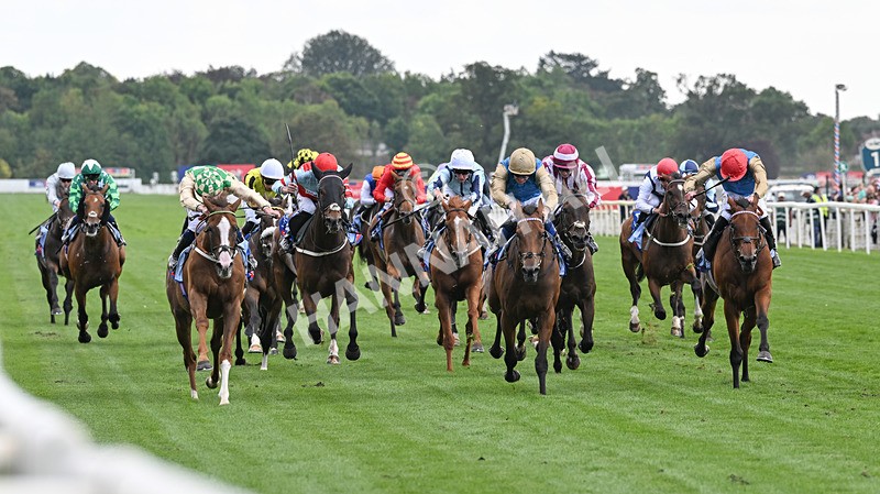 220826-133 Daiquiri Bay - Race 4 15.35pm Sky Bet Ebor Handicap