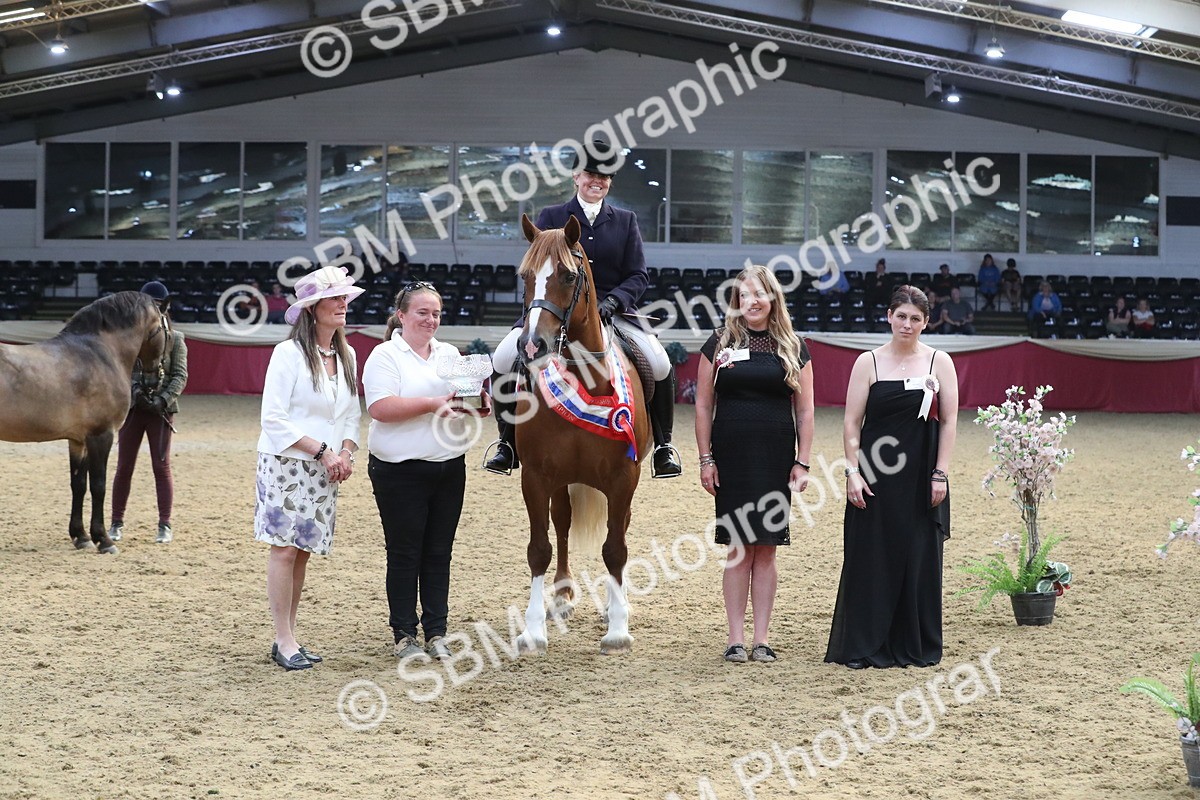 SBM_17210 - M&M Supreme Final Champ