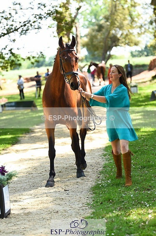 230524-150214-00027 - 304-MADFORD_LAW-Anna_Johannson-WEDTrotUp+DR