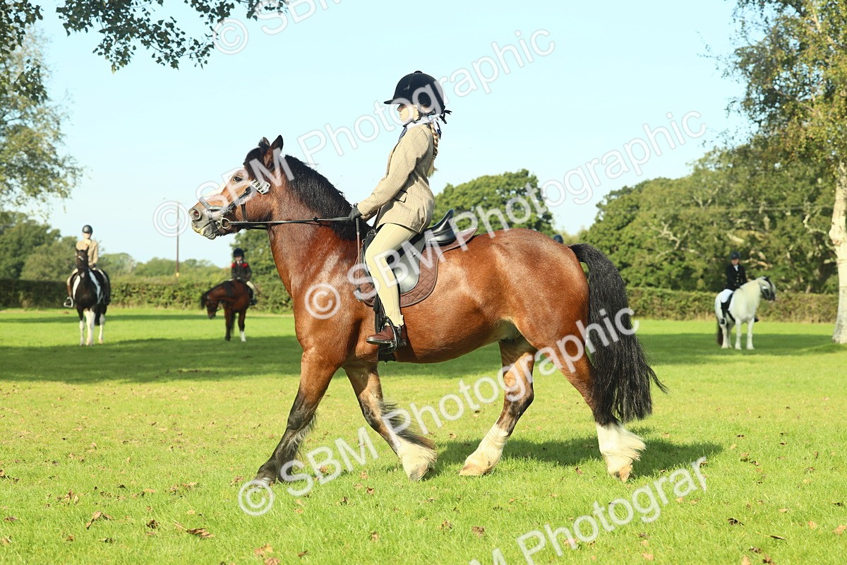 SBM_59921 - S38 - Starters Ridden Showing