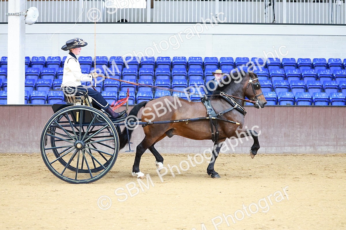 SBM_000192 - Class 3 - Alison Thomas Memorial Lady Whip