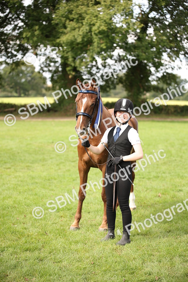 SBM_62962 - In Hand Horse Supreme Championship