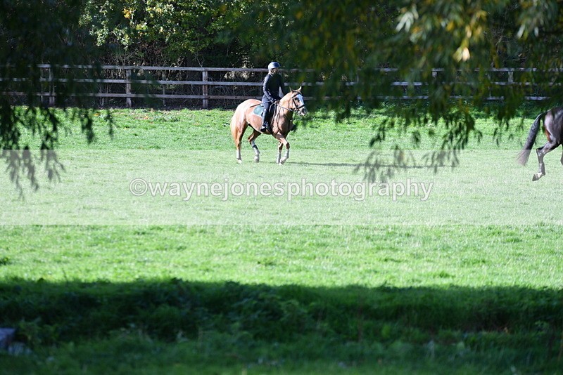 WJ5_7681 - Time 10:31 to 12:01