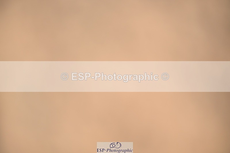 250322-134724-01140 - SJ 90cm (Elementary 2) and Presentations