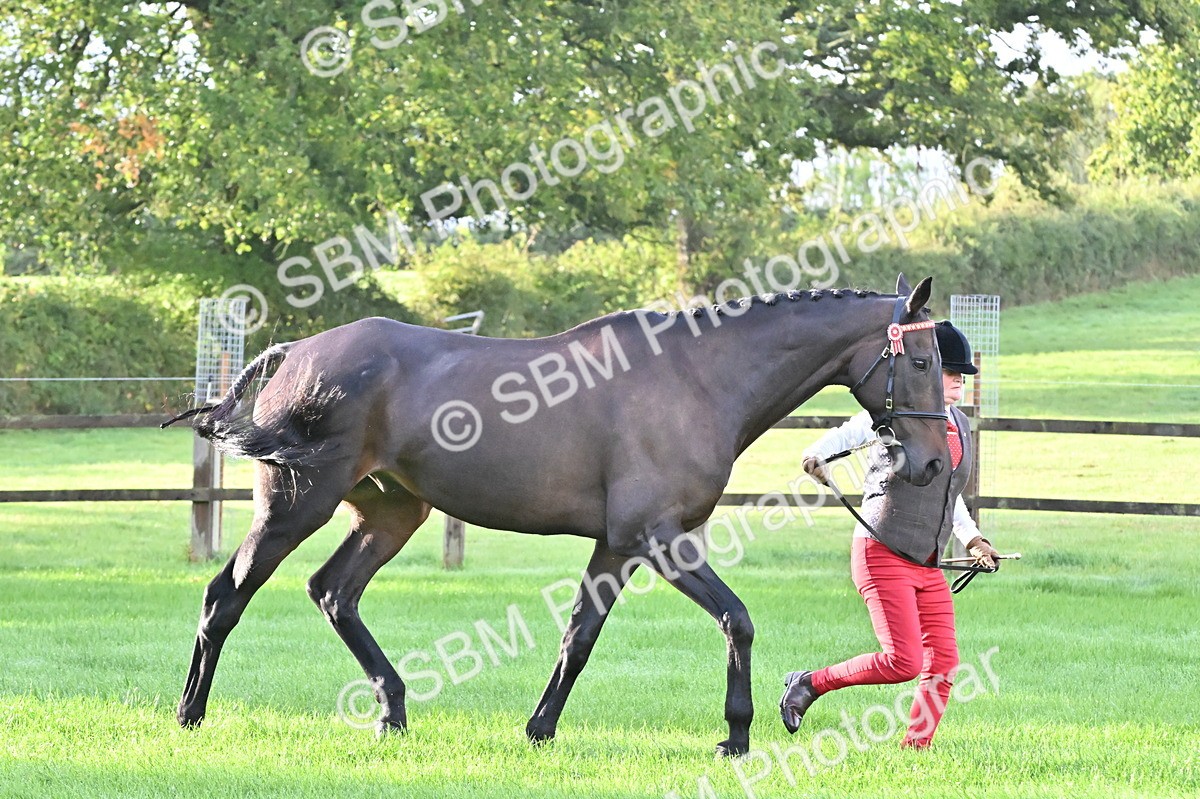 SBM_32586 - S15 - Top Turnout In Hand