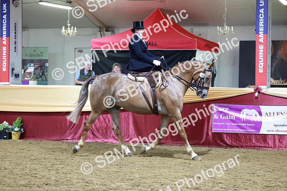 SBM_20950 - Class N - Side Saddle Champ
