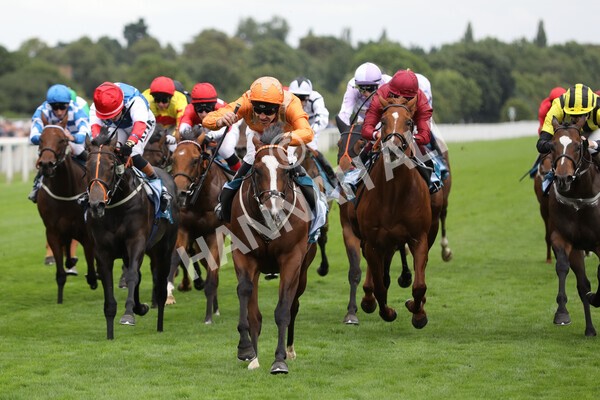 yr17082022r7-20 - Race 7 5.20pm Sky Bet Nursery Handicap