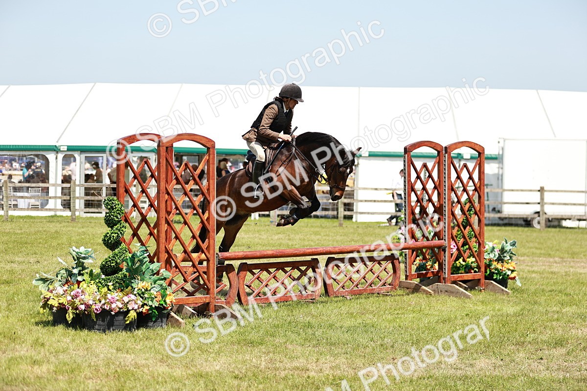 SBM_16379 - Class 110-111 - Training Stakes (70cms 80cms)