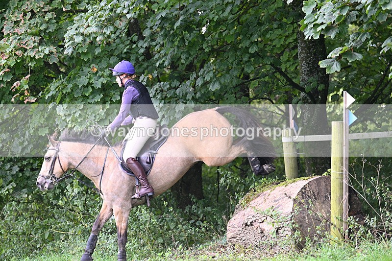 WJ7_8178 - Time 14:11 to 14:30