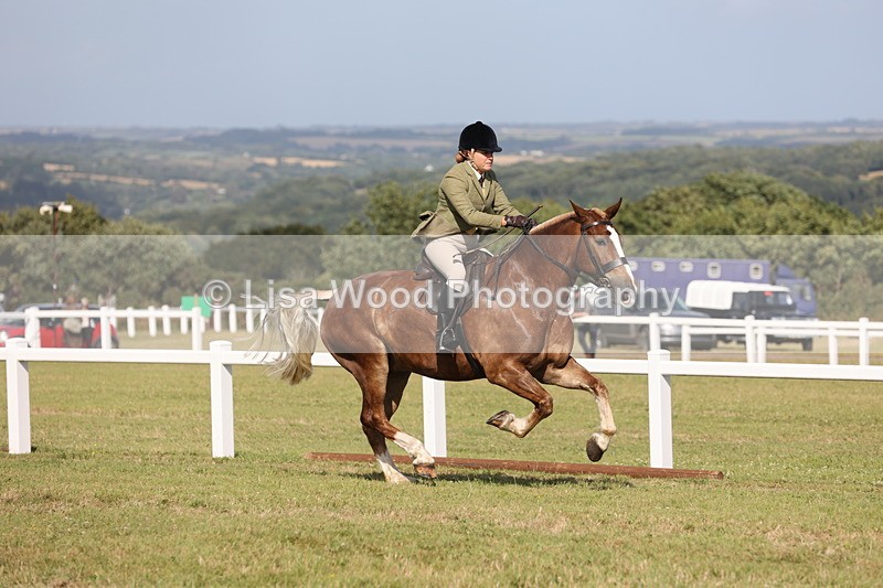 JPP_2940 - Class 20: Working Hunter 70cm