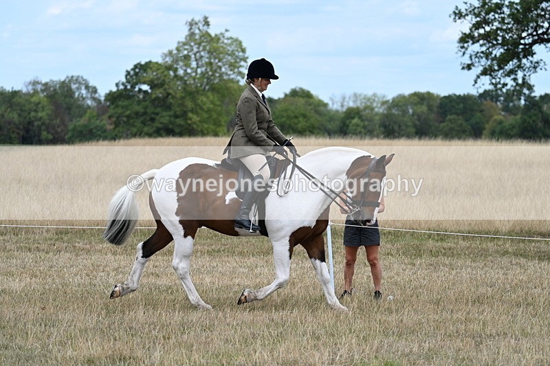 WJ7_4847 - Class 12 Ridden Cob