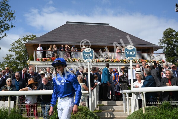 yr18082021r3-7 - Race 3 3.00pm Sky Bet Great Voltigeur Stakes