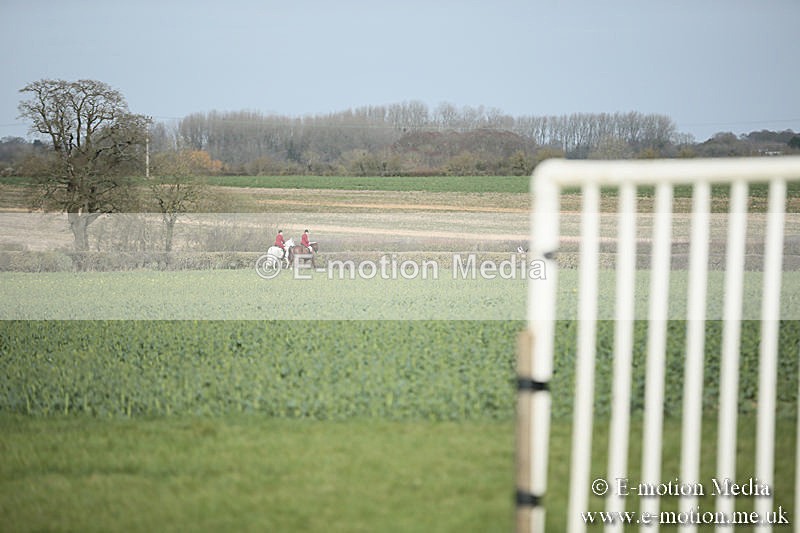 PtP 230319 310 - VWH Hunt Siddington Point-to-Point Racing 23/03/19