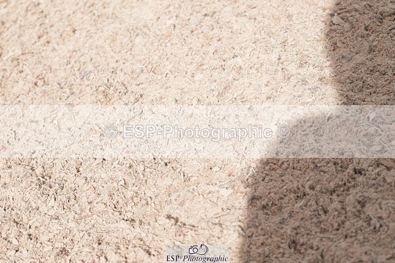 251005-132614-03532 - Cls 27 1.05m Amateur Qualifier